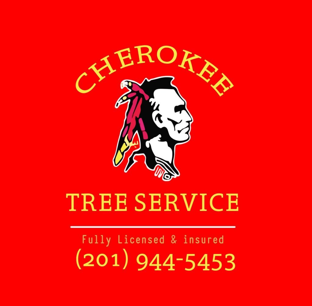 logo 01.jpg