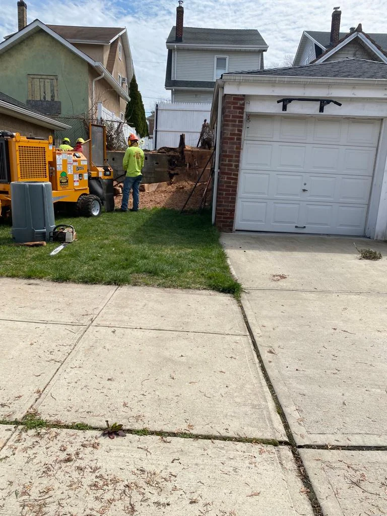 Cherokee Tree Service of New Jersey 61.webp