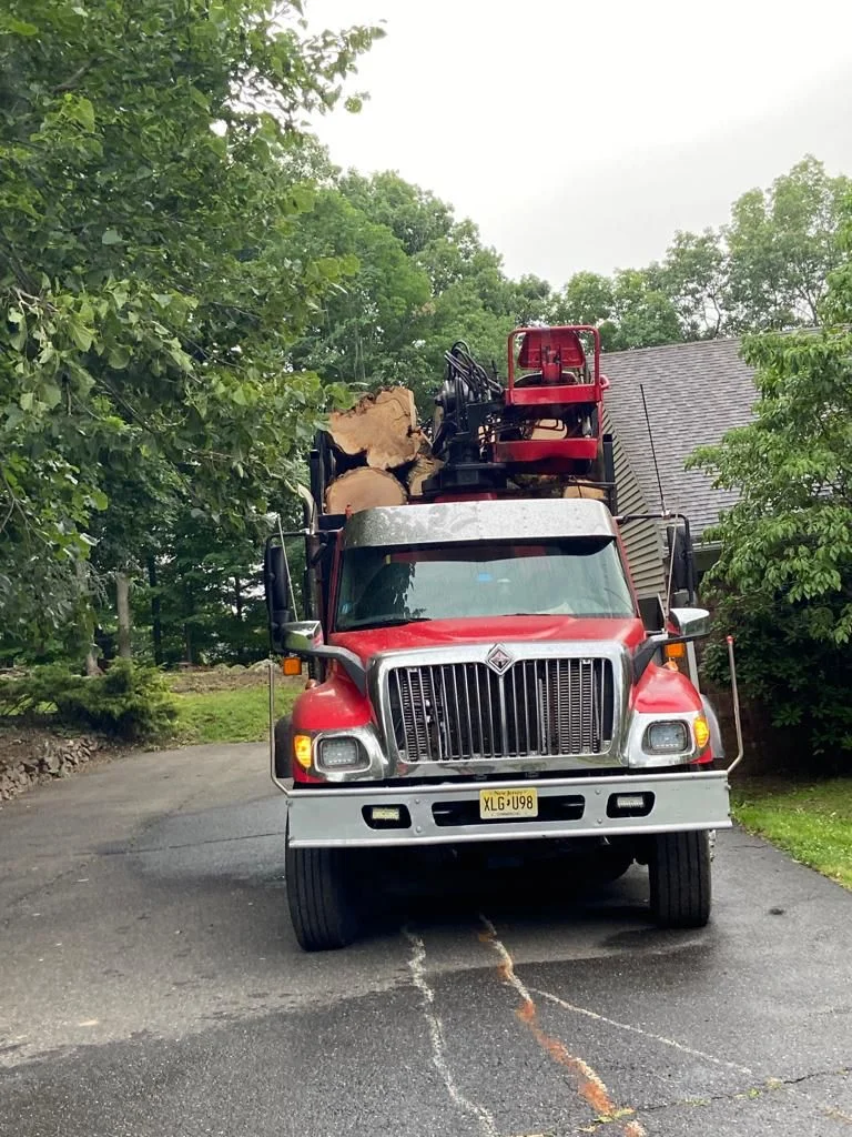 Cherokee Tree Service of New Jersey 77.webp